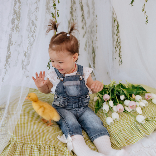 Photo #14067180