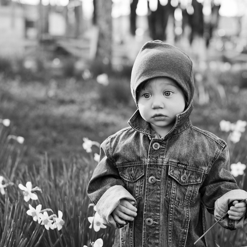 Photo #14067251