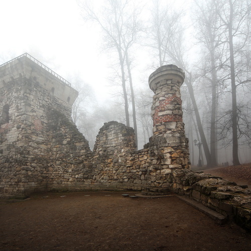 Photo #14067370