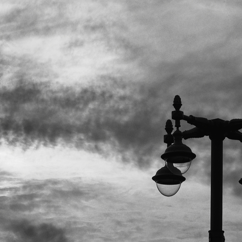Photo #14067437