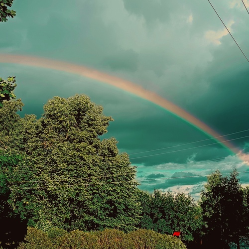 Photo #14067594