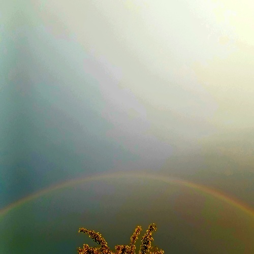 Photo #14067946