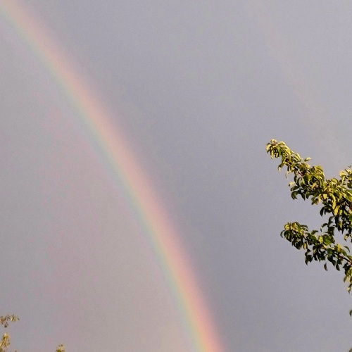Photo #14067953