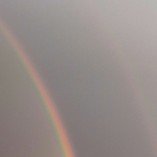 Photo #14067954