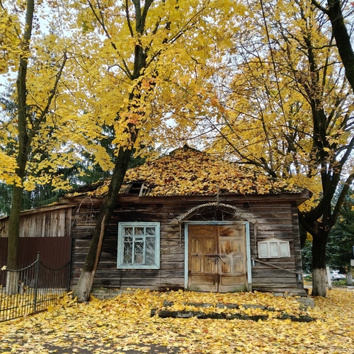 Photo #14068010