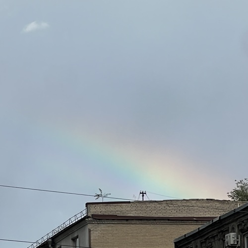 Photo #14068039