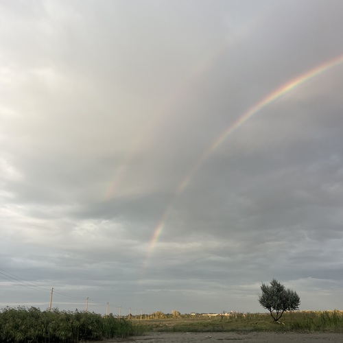 Photo #14068041