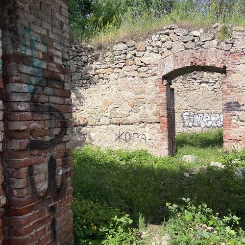 Photo #14068067