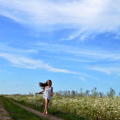 Photo #14068075
