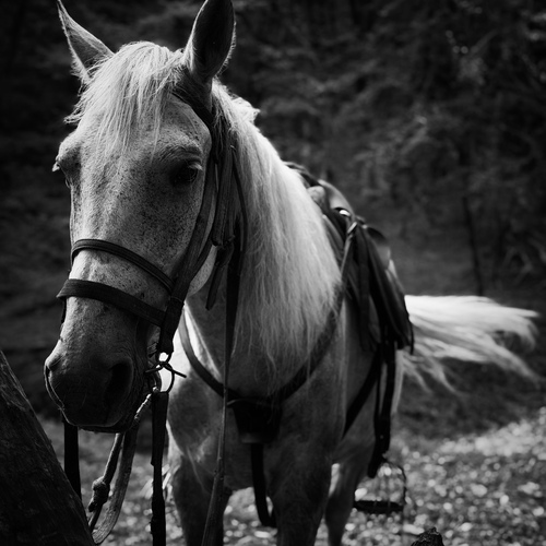 Photo #14068142