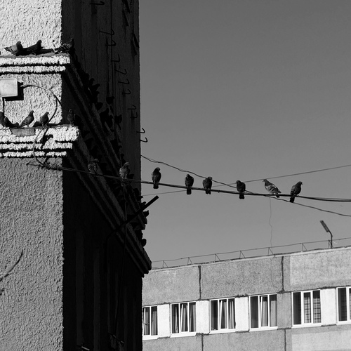 Photo #14068165
