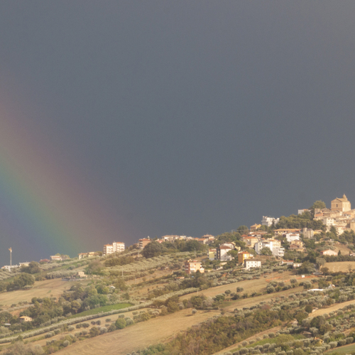 Photo #14068191