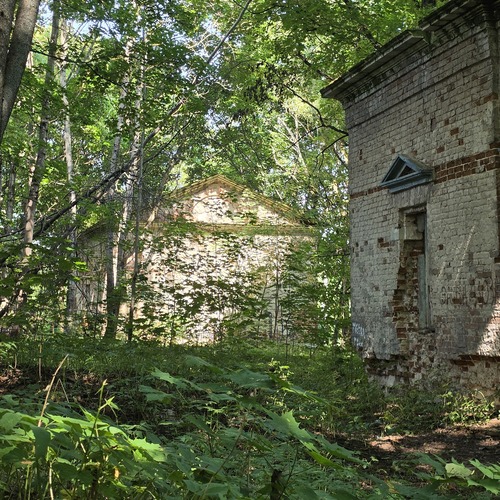 Photo #14068247