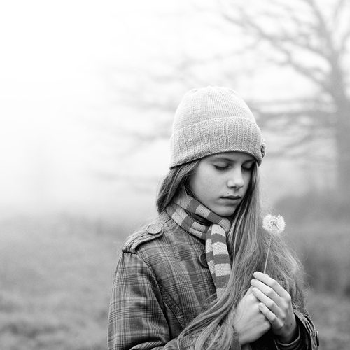 Photo #14068281