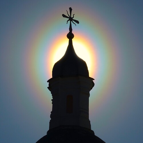 Пыльцевая корона