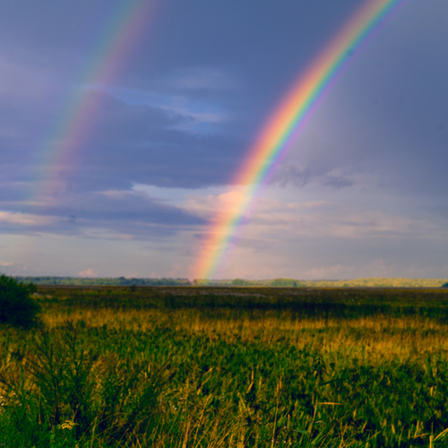 Photo #14068425