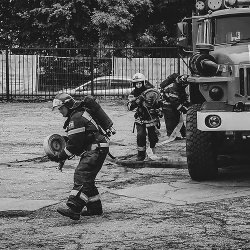 Photo #14068446