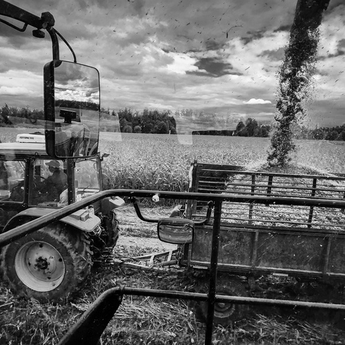 Photo #14068449