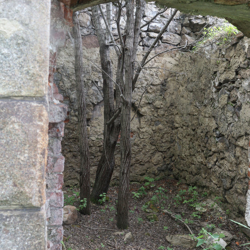 Photo #14068511