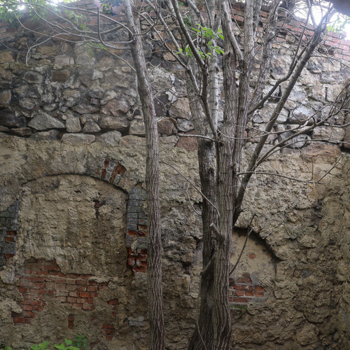 Photo #14068516