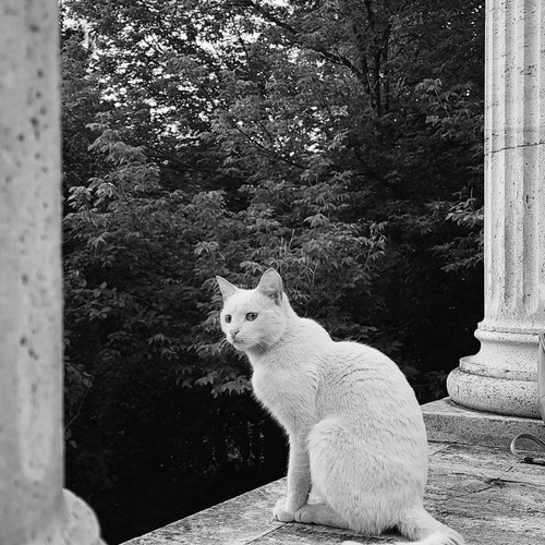 Photo #14068709
