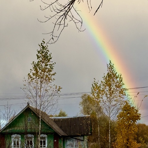 Photo #14068719