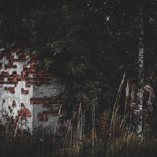 Photo #14068729