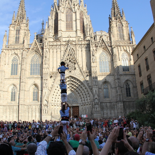 Photo #14068787