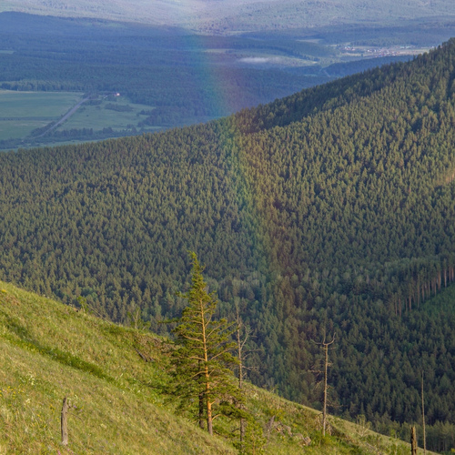 Photo #14068867