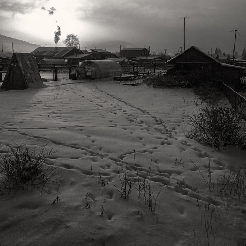 Photo #14068895