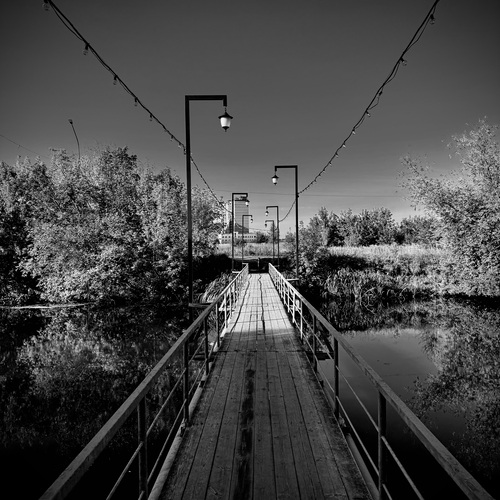 Photo #14069220