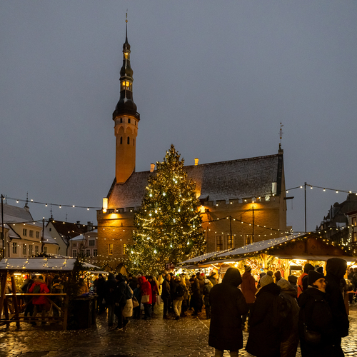 Photo #14069228
