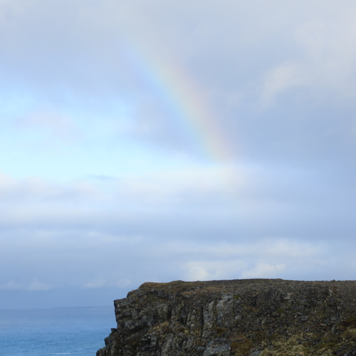 Photo #14069315