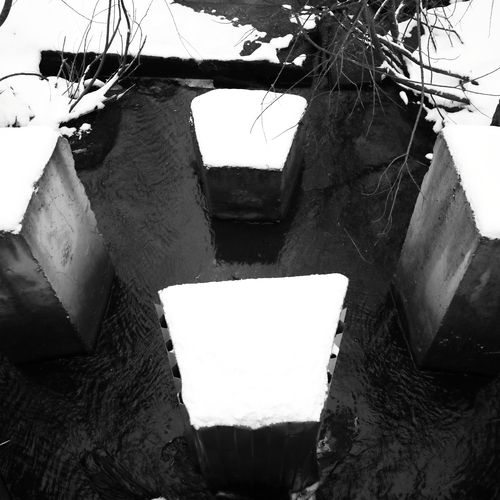 Photo #14069408