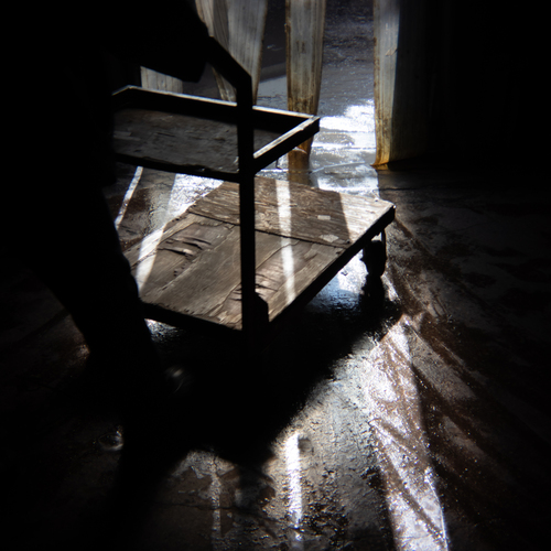 Photo #14069436
