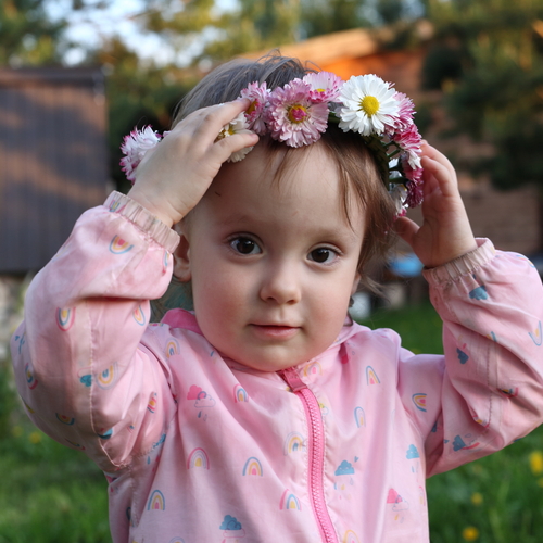 Photo #14069504