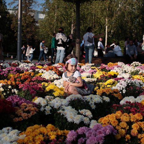 Photo #14069519