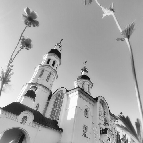 Photo #14069574