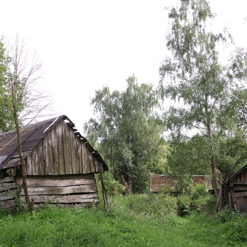 Photo #14069678