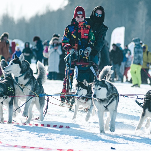 Photo #14069760