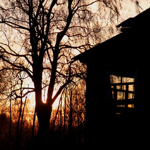 Photo #14069816