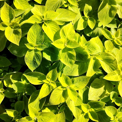 Photo #14069861