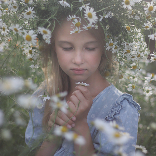 Photo #14069985