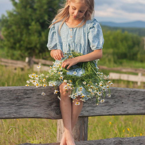 Photo #14070007