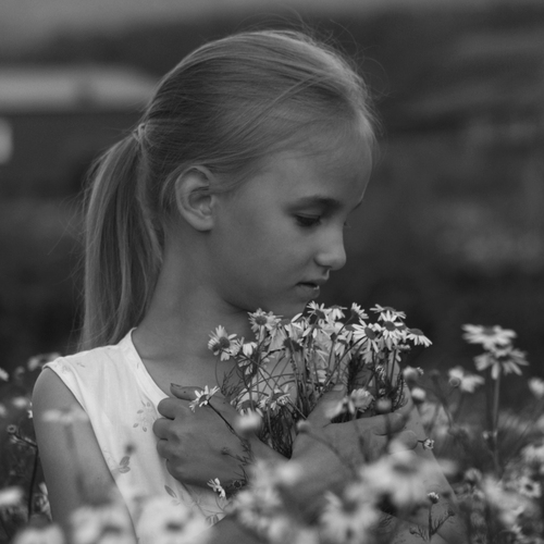 Photo #14070017