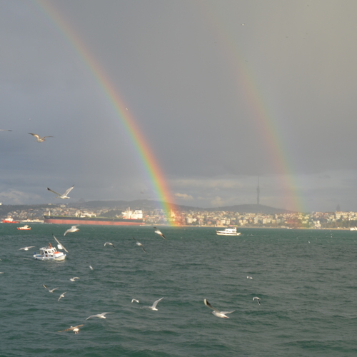 Photo #14070047