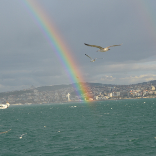 Photo #14070049