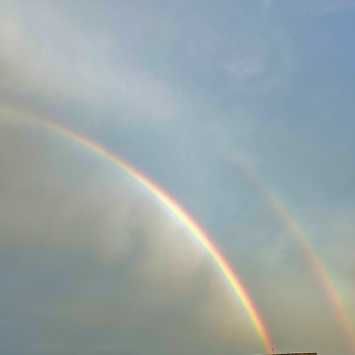 Photo #14070075