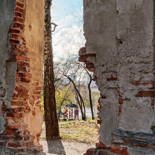 Photo #14070110