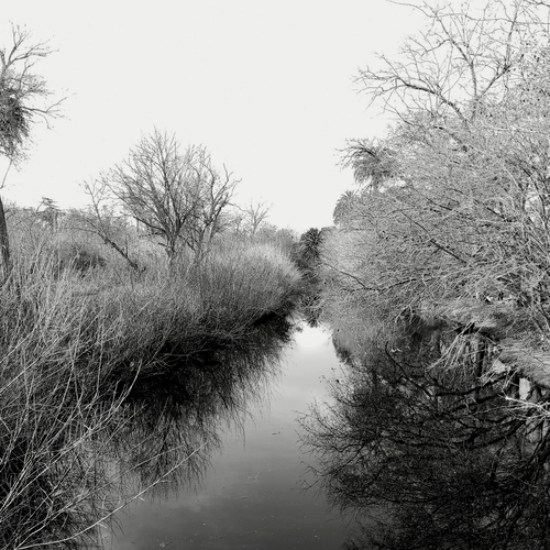 Photo #14070182